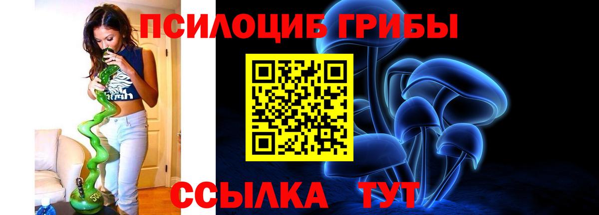 Псилоцибиновые грибы GOLDEN TEACHER Железногорск