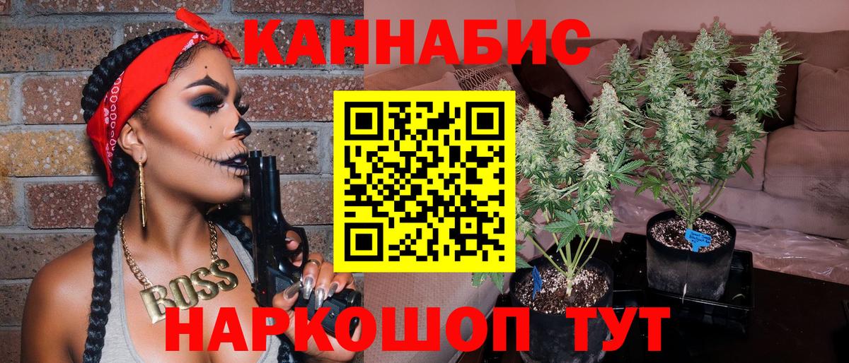 Конопля планчик Железногорск